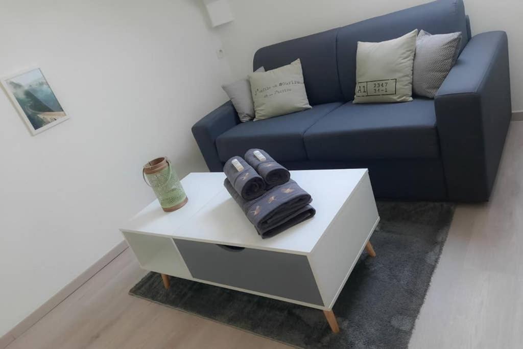 Le Cosy Appartement Sens Buitenkant foto