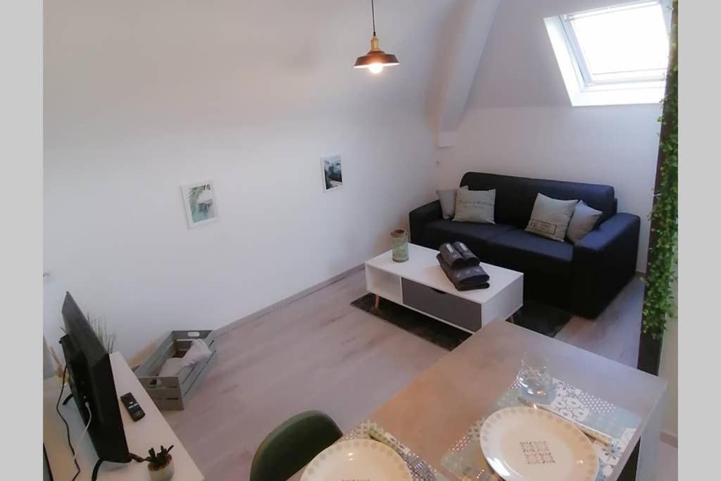 Le Cosy Appartement Sens Buitenkant foto