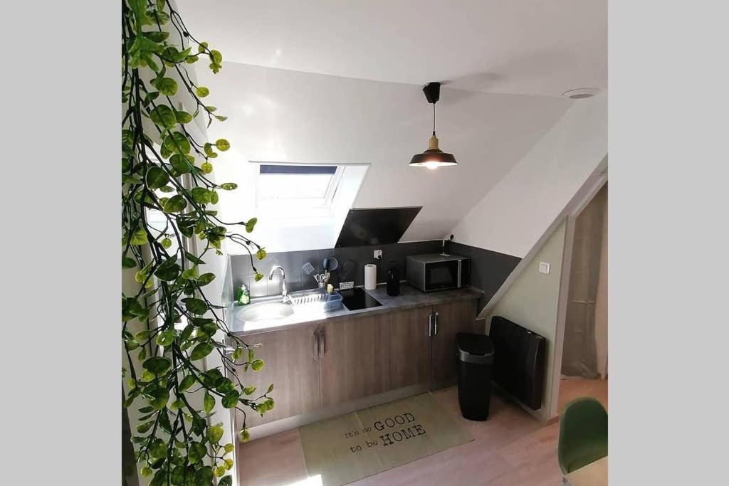 Le Cosy Appartement Sens Buitenkant foto